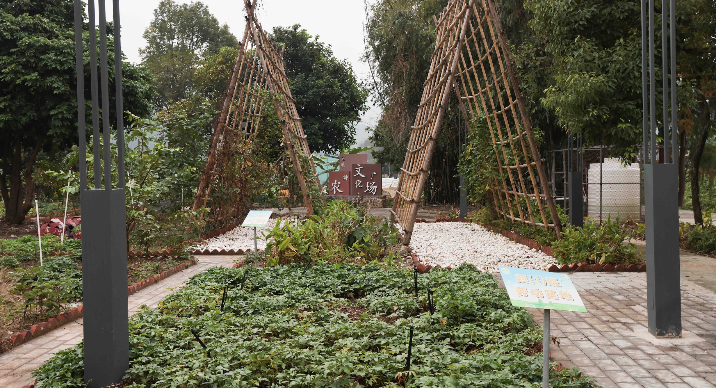 里溪村利用閑置用地打造小菜園